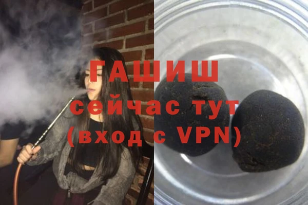 сатива Алзамай