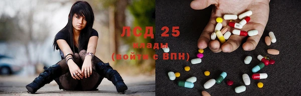 сатива Алзамай