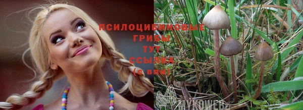 спайс Алексин