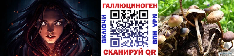 Галлюциногенные грибы Cubensis  что такое   Алексеевка 